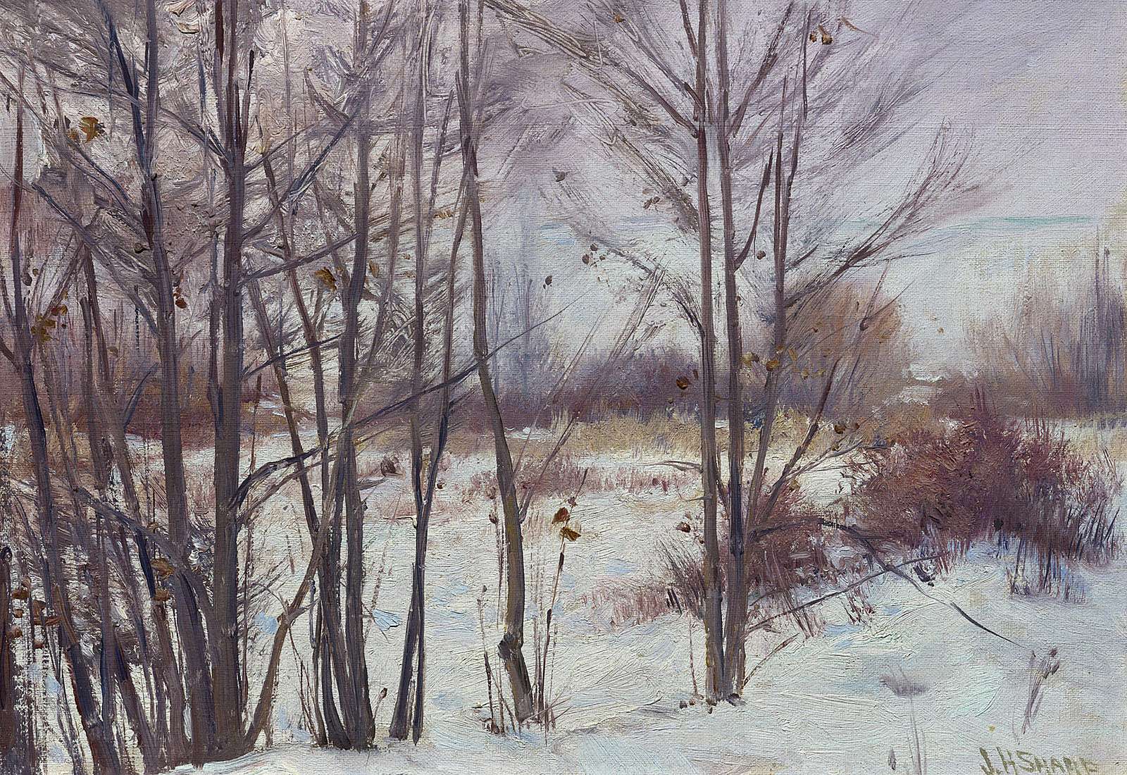 The Winter Screen